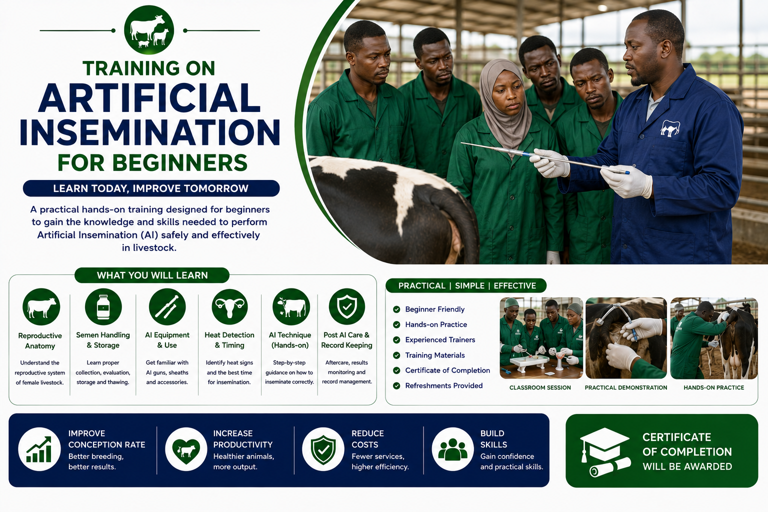 Artificial Insemination for Beginners